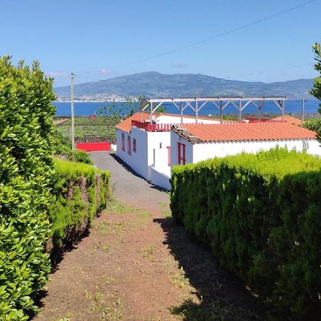 マダレナ Casa Da Ilhaヴィラ エクステリア 写真