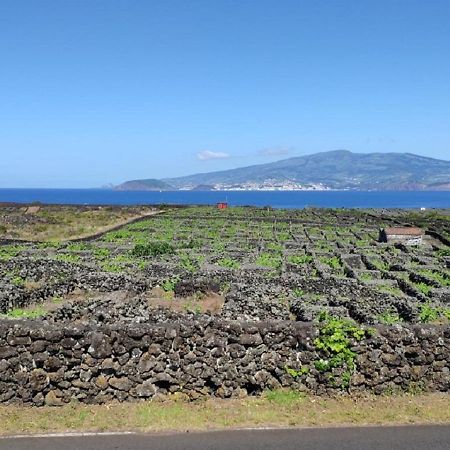 マダレナ Casa Da Ilhaヴィラ エクステリア 写真