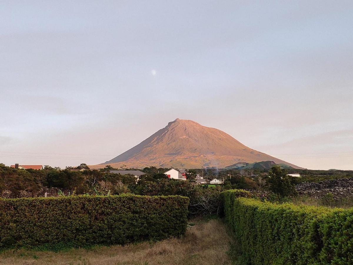 マダレナ Casa Da Ilhaヴィラ エクステリア 写真
