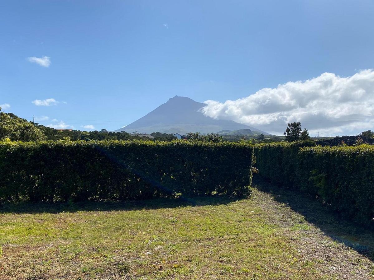 マダレナ Casa Da Ilhaヴィラ エクステリア 写真