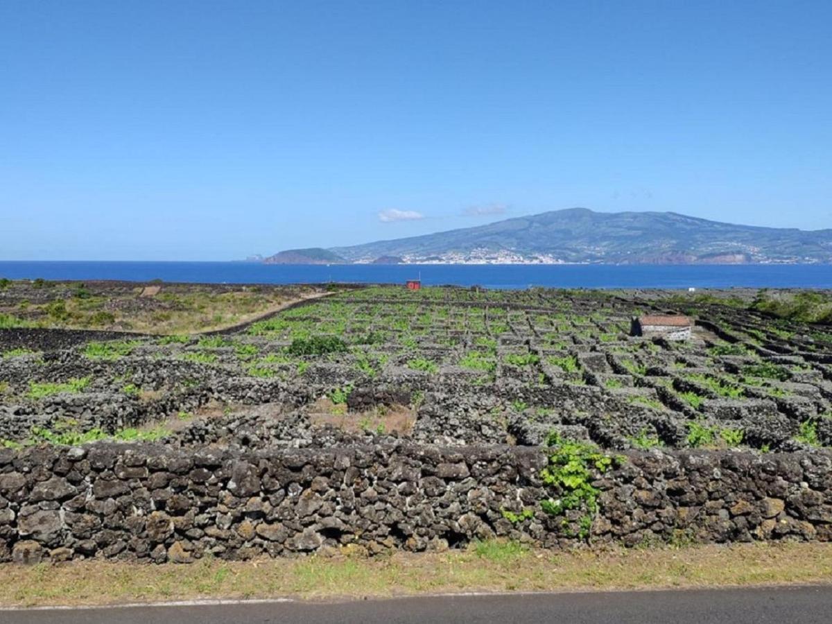マダレナ Casa Da Ilhaヴィラ エクステリア 写真