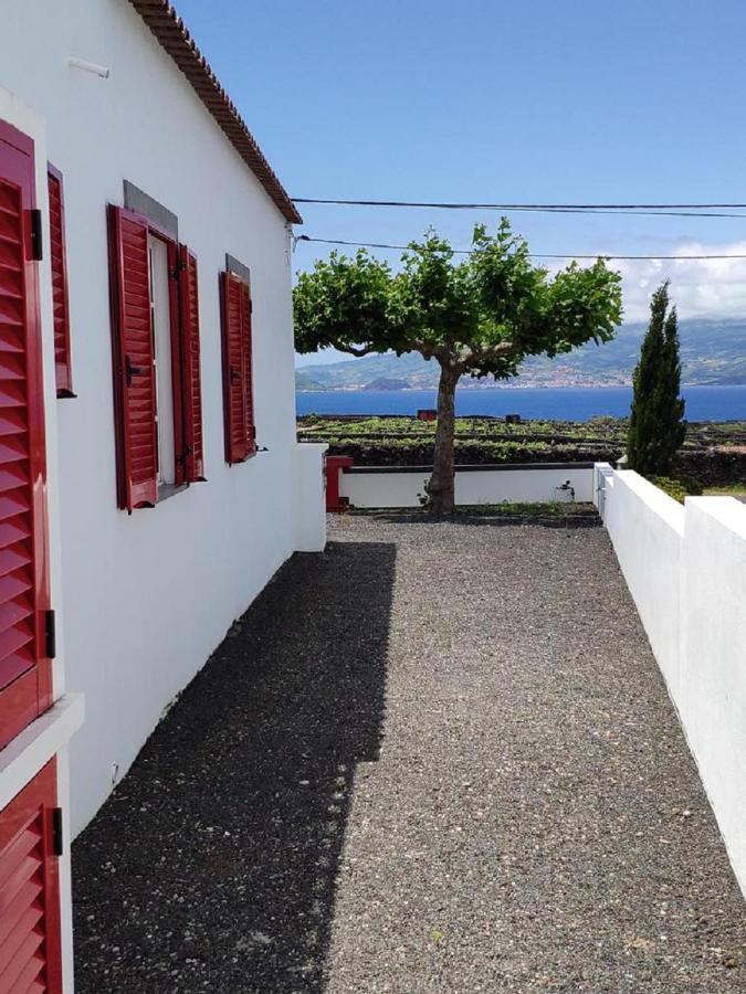マダレナ Casa Da Ilhaヴィラ エクステリア 写真